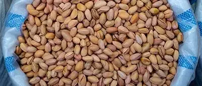 Sacco da 1000 kg di pistacchi per l'industria